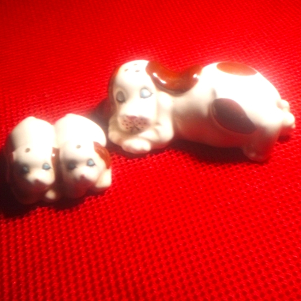 Salt and pepper shakers
